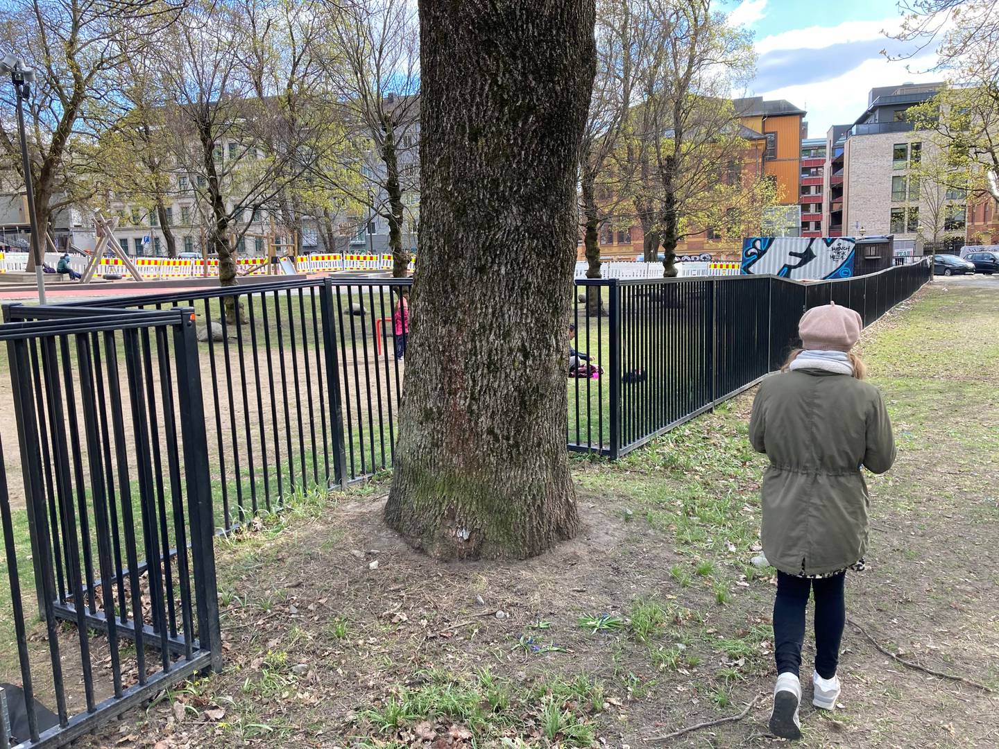 – Oslo kommune er opptatt av å bevare trærne i både parker og byrom, opplyser Bymiljøetaten til Dagsavisen. Her er et eksempel fra Sofienbergparken på nettopp det.