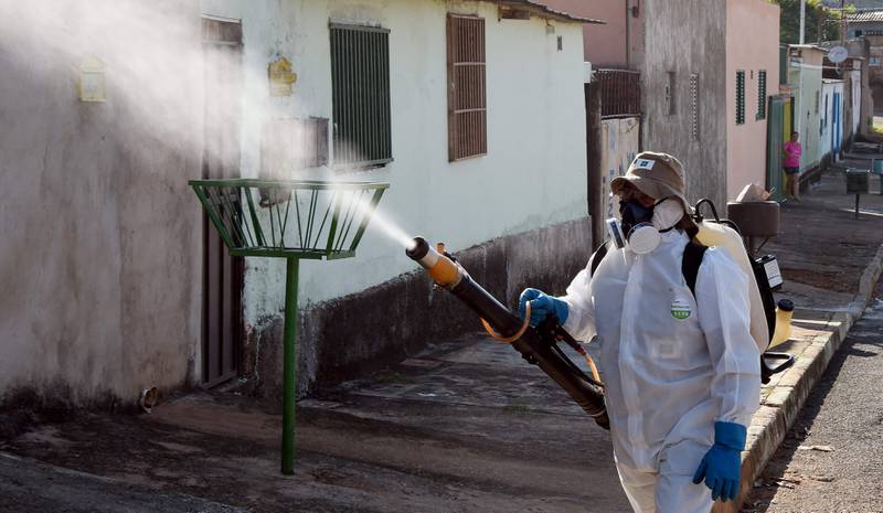 Sprøyting: Fram til nå har sprøyting med insektmiddel vært den fremste måten å bekjempe                myggen på. Etter at zika brøt ut i Brasil i vinter har en armada i heldekkende beskyttelsesdrakter utstyrt med giftbeholdere på ryggen, vært ute i gatene for å kverke mygg. FOTO: EVARISTO SA/NTB SCANPIX
Frykt: Den svarte og hvite myggen Aedes aegypti har spredd frykt over store deler av verden det siste året. Den kan smitte mennesker med zikaviruset, men også dengue- og gulfeber. FOTO: NTB SCANPIX