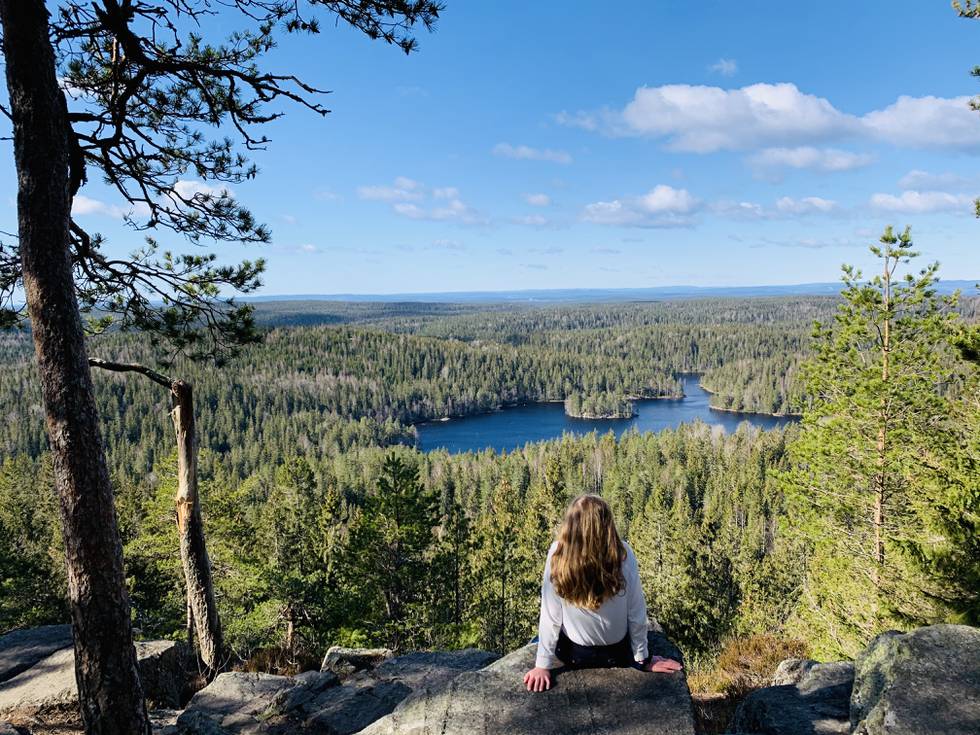Mange har i årevis ivret for nasjonalpark i Østmarka, i et område som blant annet omfatter Tonekollen. Nasjonalparken kan bli en realitet i løpet av neste år, ifølge Klima- og miljødepartementet.