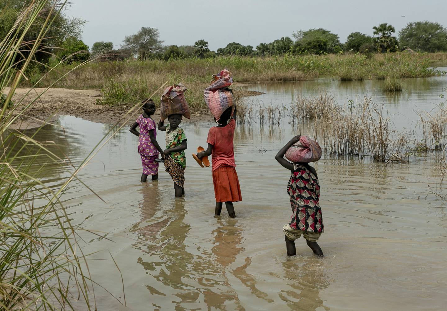 Barn bærer poser på hodet mens de går over flomrammede jorder i Sør-Sudan.