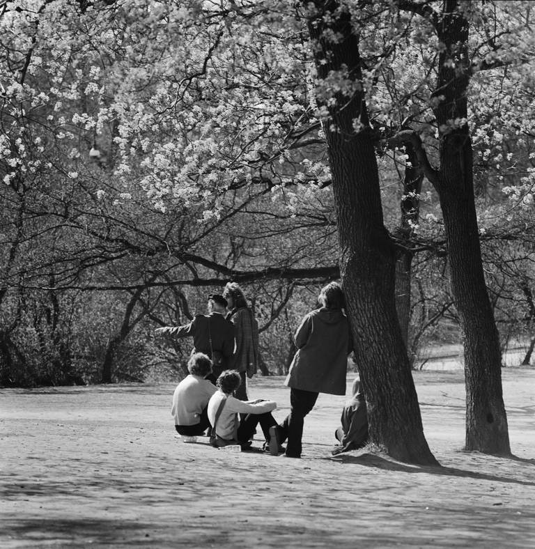 Ungdom som møttes på Nisseberget i Slottsparken, mente de ikke plaget noen, mens myndigheter og politi ønsket å fjerne miljøet. Året bildet ble tatt, 1971, ble plenen i Slottsparken pløyd opp slik at ingen skulle sitte på gresset.