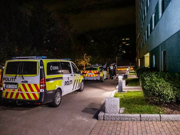 Tre menn dømt til lange fengselsstraffer etter macheteangrep i Oslo