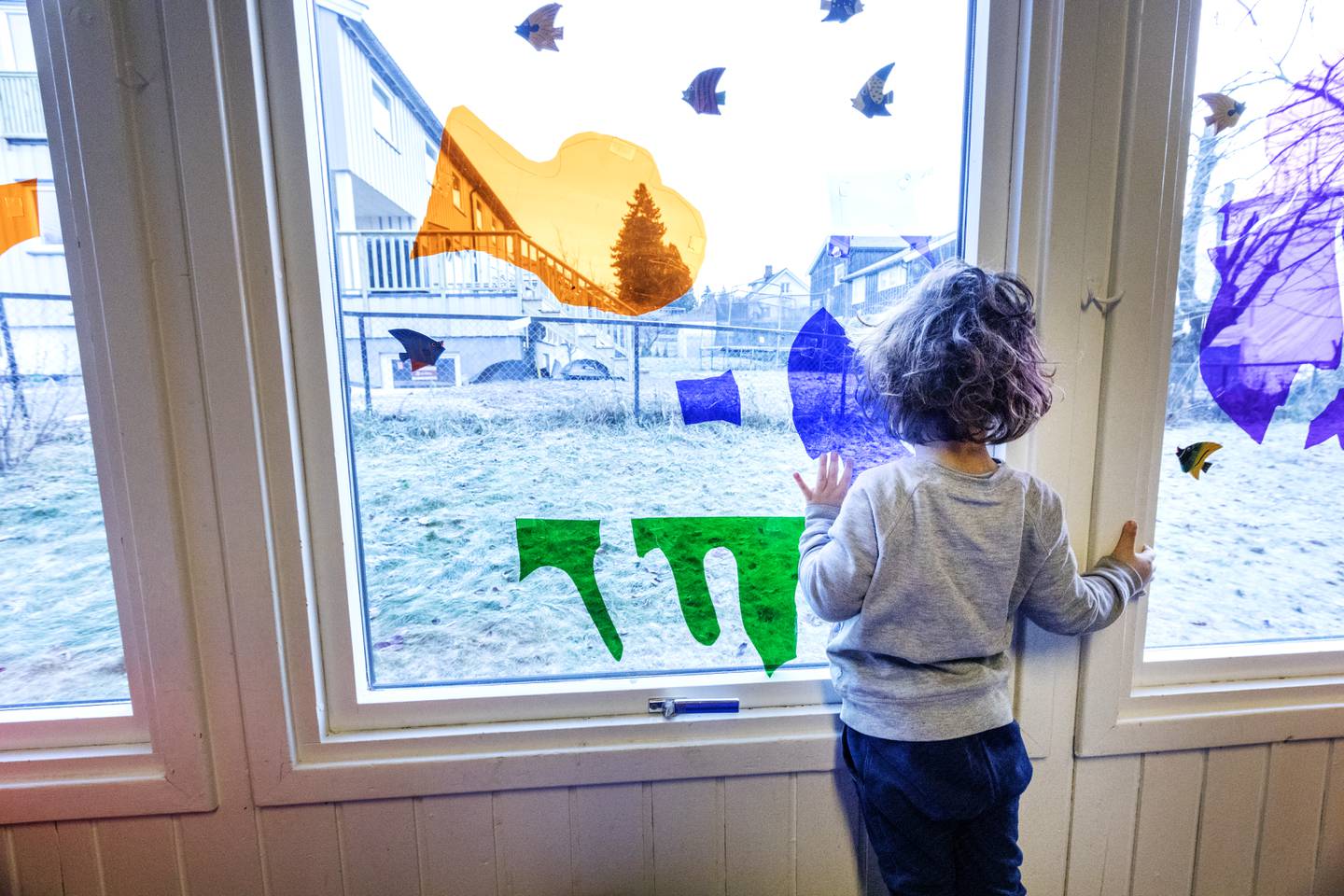 Forskere skal se på barnevernsvedtak i Norge. Foto: Gorm Kallestad / NTB