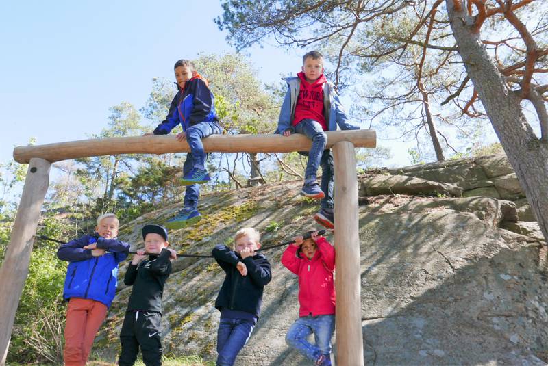 KLATREGLEDE: Barna i Engelsviken storkoser seg med motorikkparken, et initiativ fra lokalbefolkningen i og rundt Flåtaviken. Øverst fra venstre: Phillip Karlsøen (9) og Mikkel Riheim Antonsen (9). Nederst fra venstre: Felix Rosenvinge (9), Kasper Ellis Berger (6), Max Rikheim Antonsen (6) og Alma Karlsøen (3).