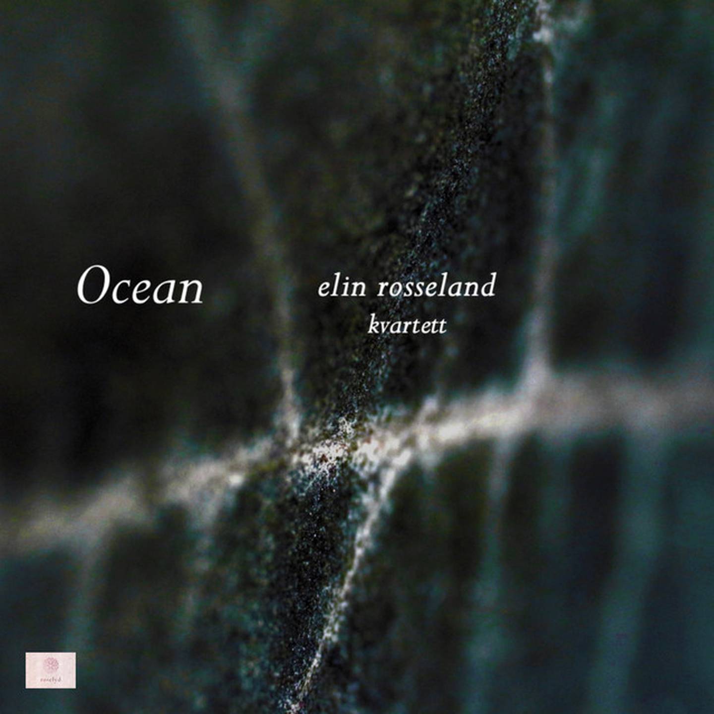 Elin Rosseland Kvartett: Ocean