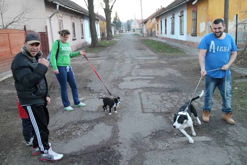 I dette nabolaget i den ungarske byen Miskolc, som på folkemunne kalles «de nummererte gatene» kaster myndighetene nå ut romabefolkningen for å rive husene. Gyula (til høyre), hunden Gypsy og naboene skal vekk. FOTO: ROY F. ANDERSEN