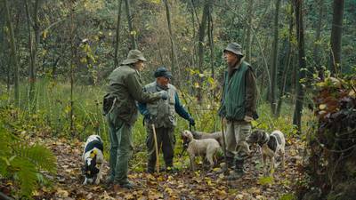 «Trøffeljegerne fra Piemonte»: Møt de ekte trøffelheltene