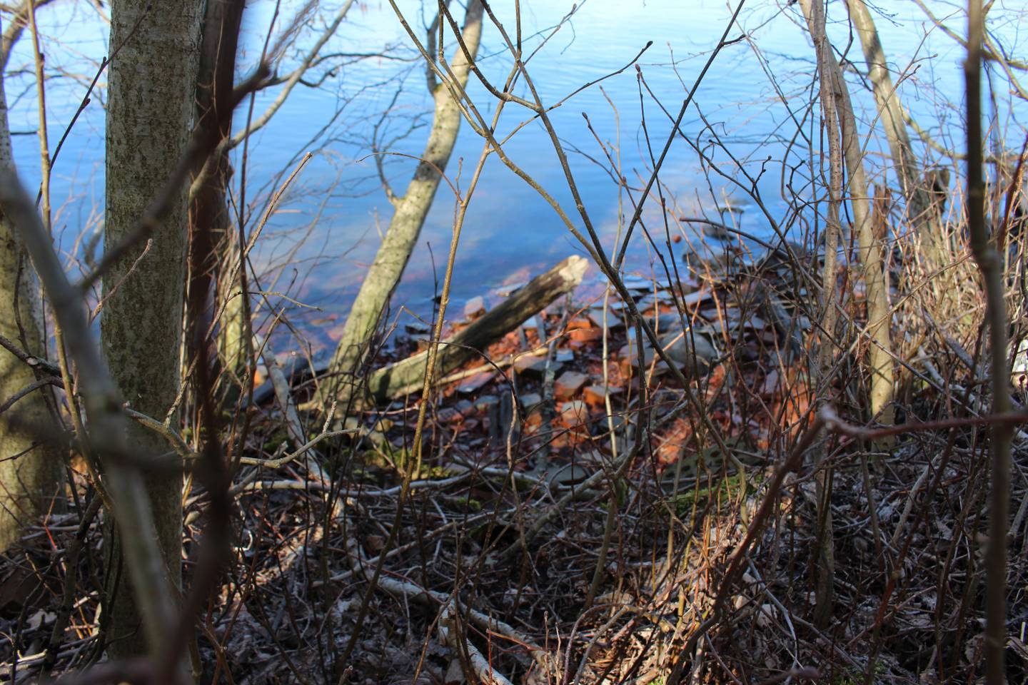 Det ligger fortsatt teglstein ved elvekanten i Narnteskogen, førti år etter teglverket ble revet.