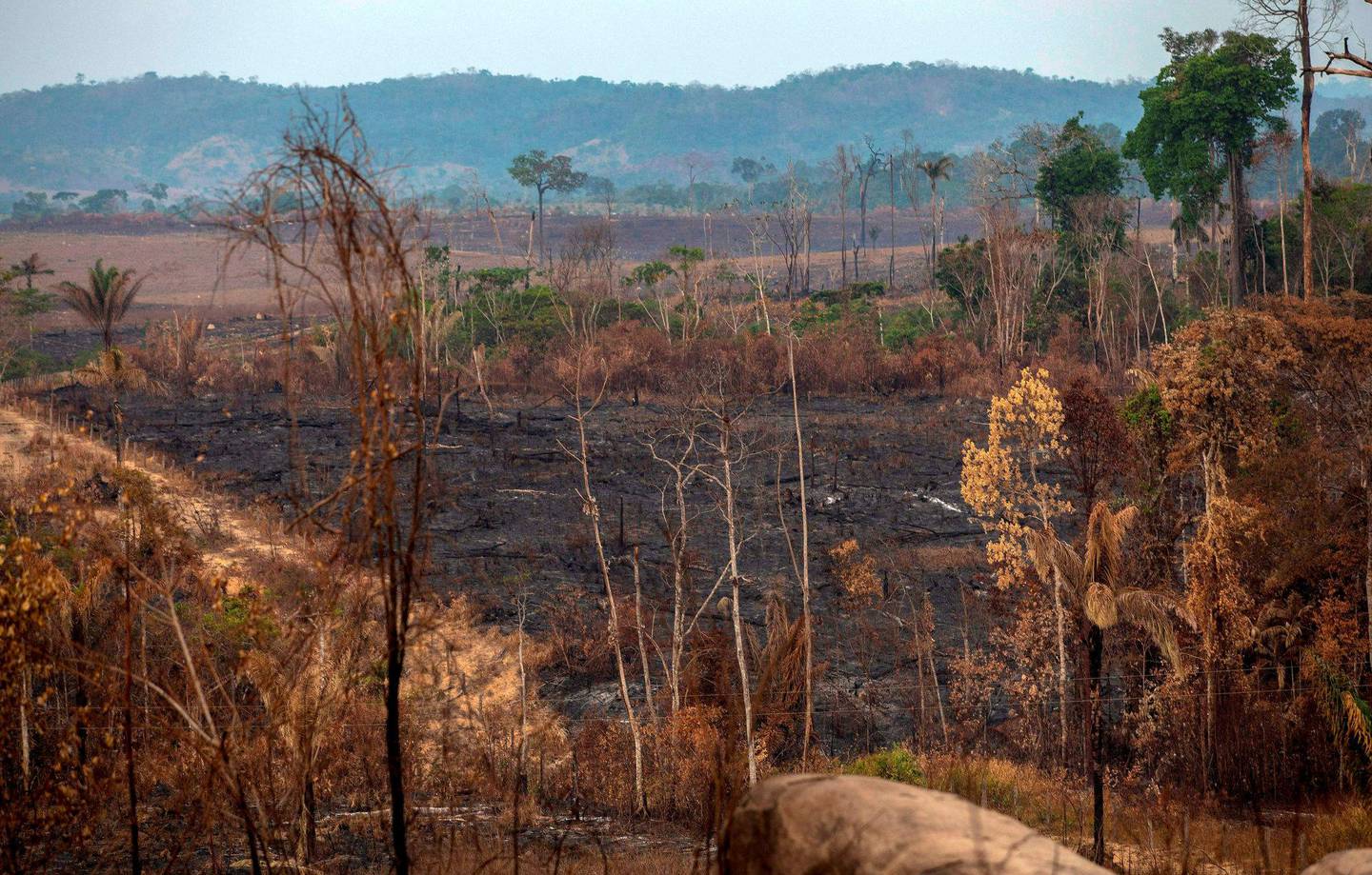 FOTO: Store landområder er ødelagt på grunn av skogbranner i Amazonas så langt i år. FOTO: NTB SCANPIX