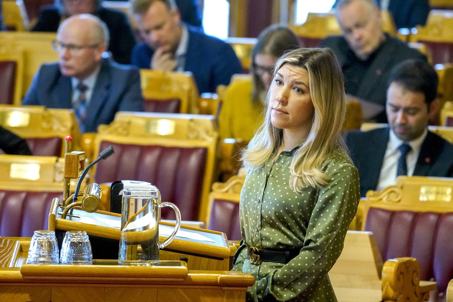 Anna Molberg (H) sitter arbeids- og sosialkomiteen på Stortinget.