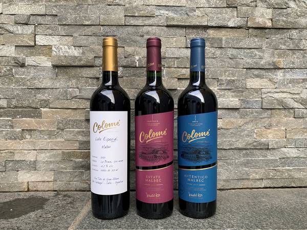 Tores vin: Herlige viner fra Andesfjellene