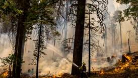 Tusenvis evakuert på grunn av voldsomme skogbranner i California