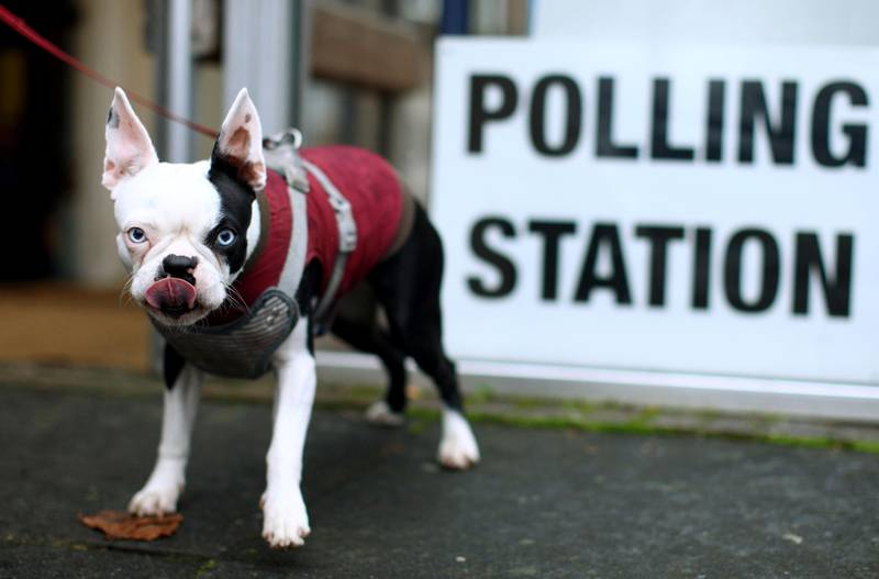 A dog waits outside a polling station during the general election in London, Britain, December 12, 2019.  REUTERS/Tom Nicholson NO RESALES. NO ARCHIVES.