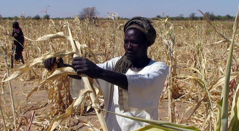 Mauritania er ett av landene som vil være verst utsatt med et varmere klima. FOTO: AFP/NTB SCANPIX