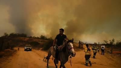 Over 50 har omkommet i skogbranner i Chile