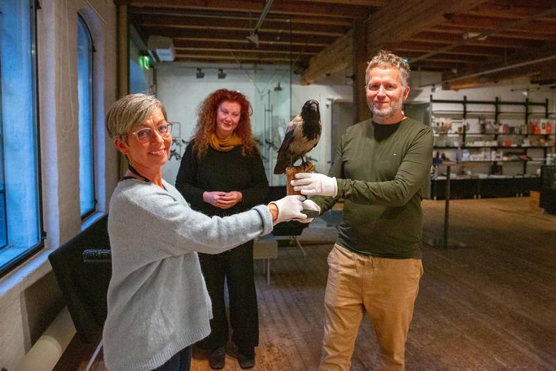 Museumsdirektør Bård Alsvik og konservator Camilla Gjendem (i bakgrunnen) er glade for å få den utstoppede kråka av ordfører Hanne Tollerud.