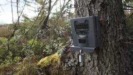 Kameraovervåking i skog og mark: – Må være snakk om titusener