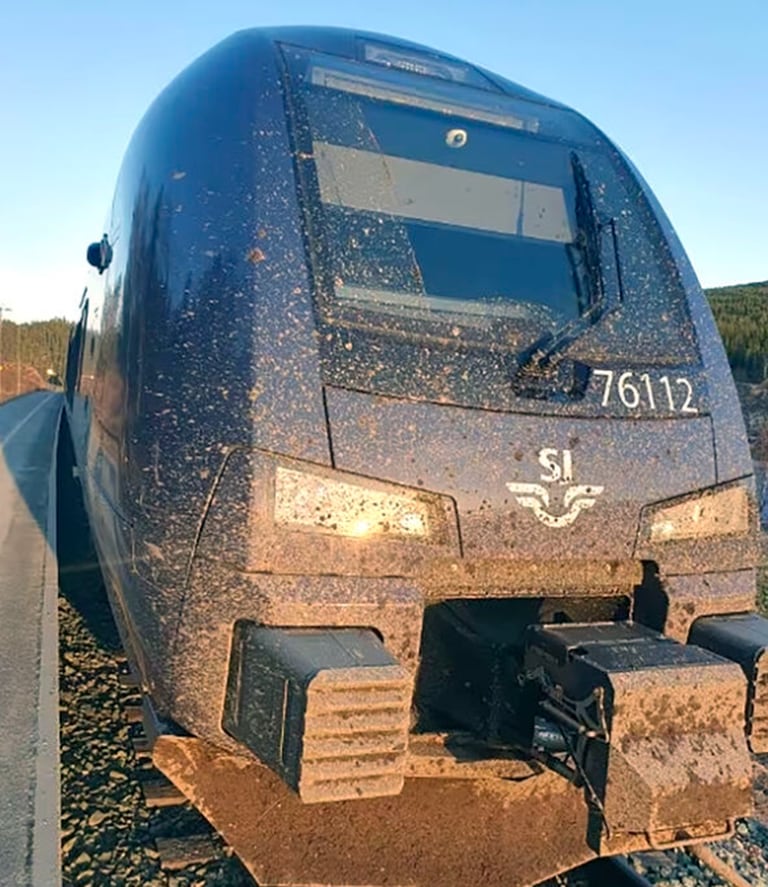 Dette SJ-toget kjørte gjennom et jordskred på Rørosbanen i mai. Selv om skadene ikke er påfallende synlige, kom de seg på om lag 1,5 millioner kroner, ifølge Norske tog AS.