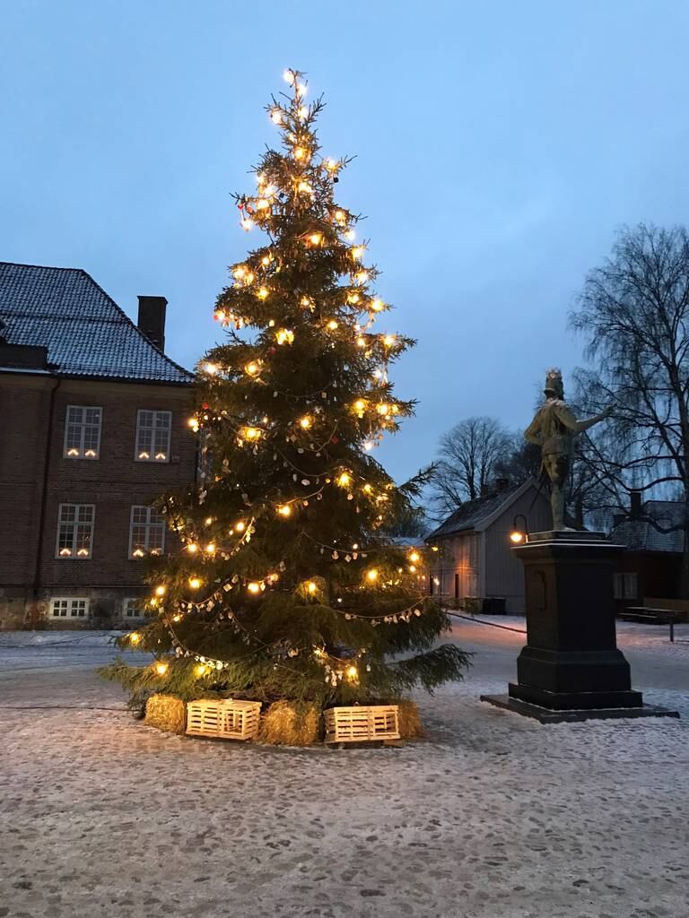 Initiativtagerne håper årets juletrepynt i Fredrikstad skaper diskusjon, og at diskusjonen fører til handling.