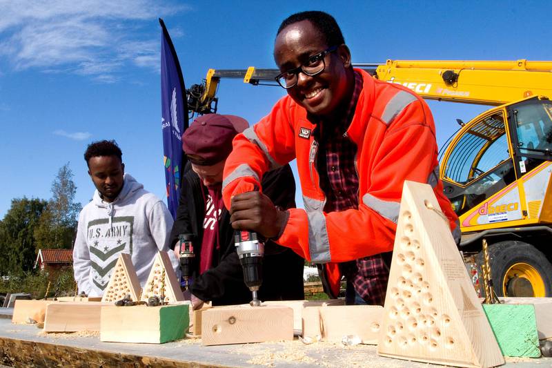 FRIVILLIGE: Salg av biekatedraler har blitt en god inntektskilde til prosjektet. Abdi Hassan, Mikael Lien og Mukhtar Qarbosh produserer miljøvennlige insektsboliger.