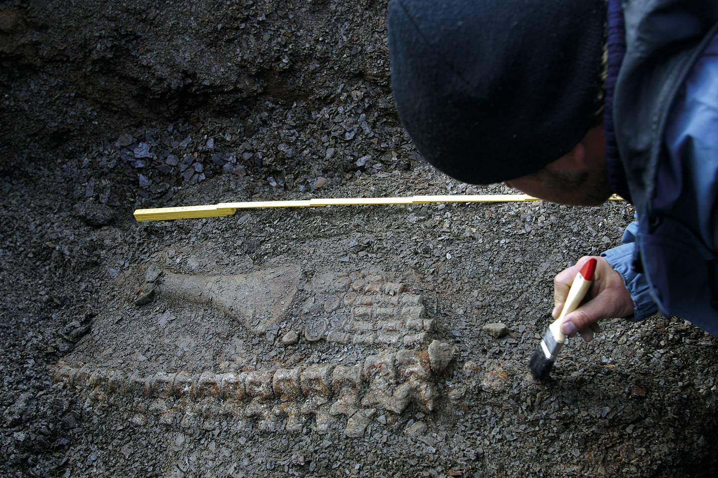 Fossiler er fortsatt å finne en rekke steder i Norge, ifølge Marina Görtz. I 2004 ble restene av en svaneøgle som kan ha vært hele ti meter lang, funnet på Svalbard.
