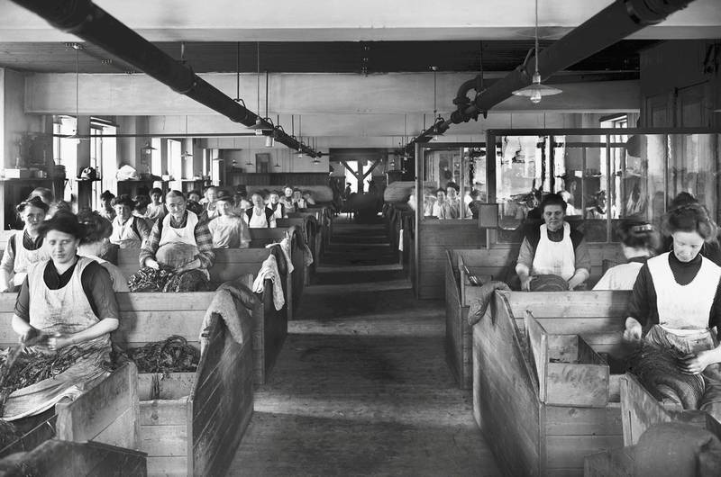 Produksjonslokaler i Conrad Langaards tobakksfabrikk med kvinnelige arbeidere ca. 1910. Tobakksindustrien sysselsatte svært mange kvinner, de fleste ufaglærte.