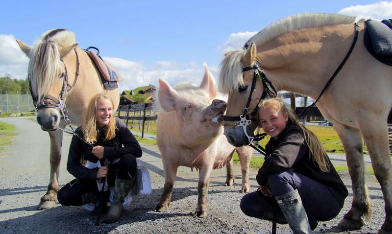 Mye kos: Andrea (t.v.) med Mina Østby Dahl og kjendisgrisen Emma, som går fritt rundt på fjellgården. Jentene      er klare for å leie hester i runderidningen for barn, som er en av mange oppgaver. ALLE FOTO: JUSTINE HAUGLIN