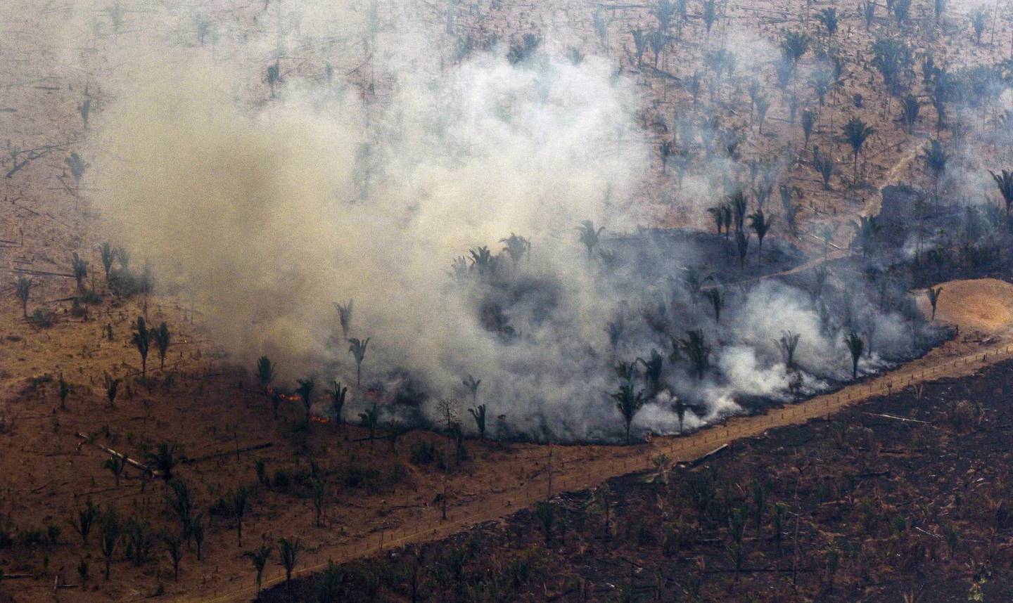 Amazonas: Avskogingen i Amazonas, verdens største regnskog, har økt kraftig etter at Bolsonaro ble president i Brasil.