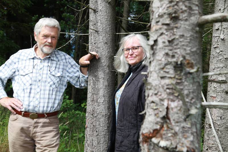 21. august stiller ekteparet Odd Skullerud og Anne Langsholt Apaydinli ut i Galleri Klavestad. Temaet er skog, hvor Skullerud er inspirert av nærmiljøet i Onsøy og Apaydinli skogen ved Børtevann i Sarpsborg.