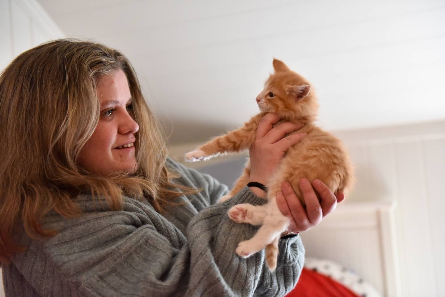 På tunge dager er kattene gode å ha, forteller Pernille  Kramås.

Foto: Ida Bing/FriFagbevegelse