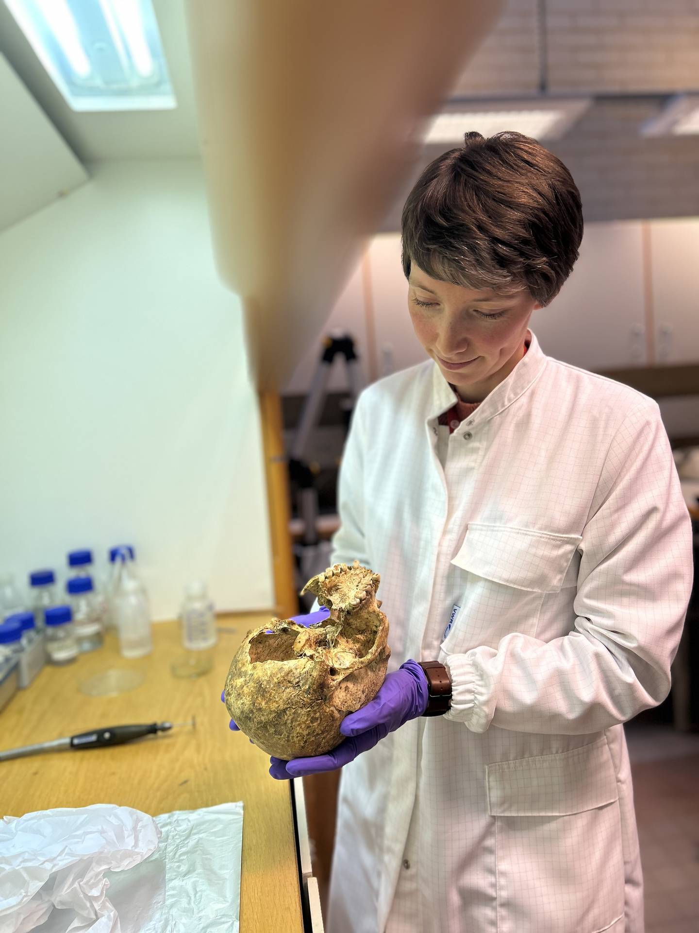 Forsker Hege Hollund ved Arkeologisk museum, Universitetet i Stavanger leder utgravningen utenfor Stavanger Domkirke. Her analyserer hun en hodeskalle.