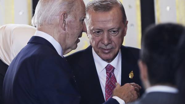 Erdogan skal møte Biden i Det hvite hus