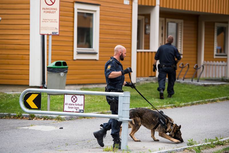 Politiet arbeider i et boligstrøk på Bjørndal i Oslo etter meldinger om at et skudd skal ha blitt a