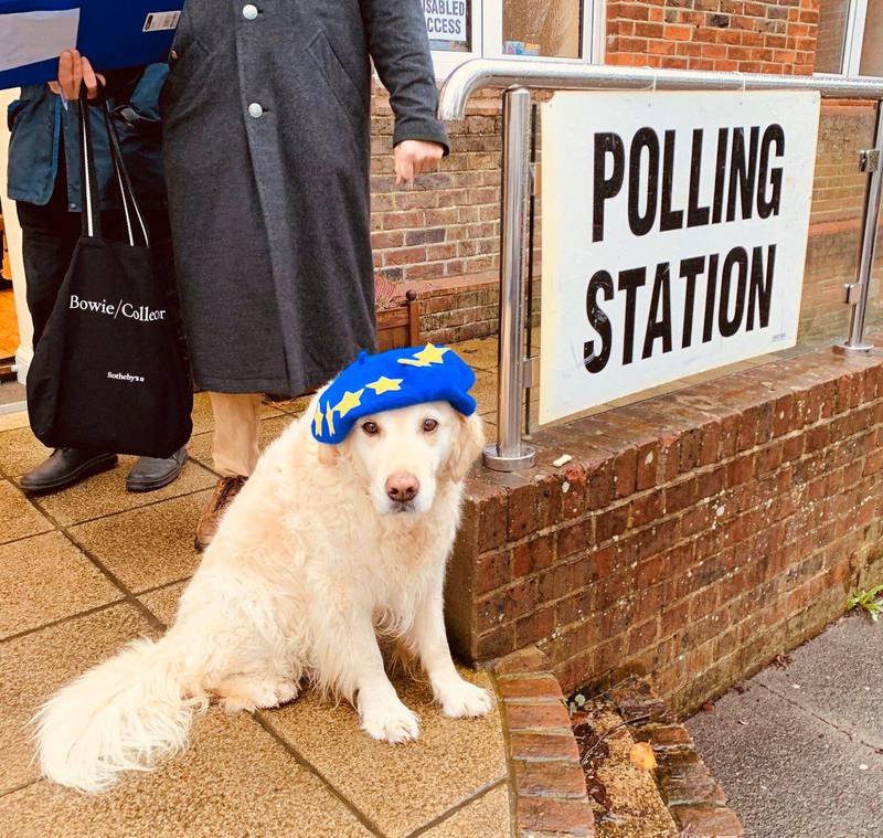A dog sits outside a polling station in Hove, Britain December 12, 2019 in this picture obtained from social media. Grizelda Cartoons/Twitter @GRIZELDAG/via REUTERS THIS IMAGE HAS BEEN SUPPLIED BY A THIRD PARTY. MANDATORY CREDIT.