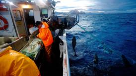 – Fiskeriforvaltningen må granskes