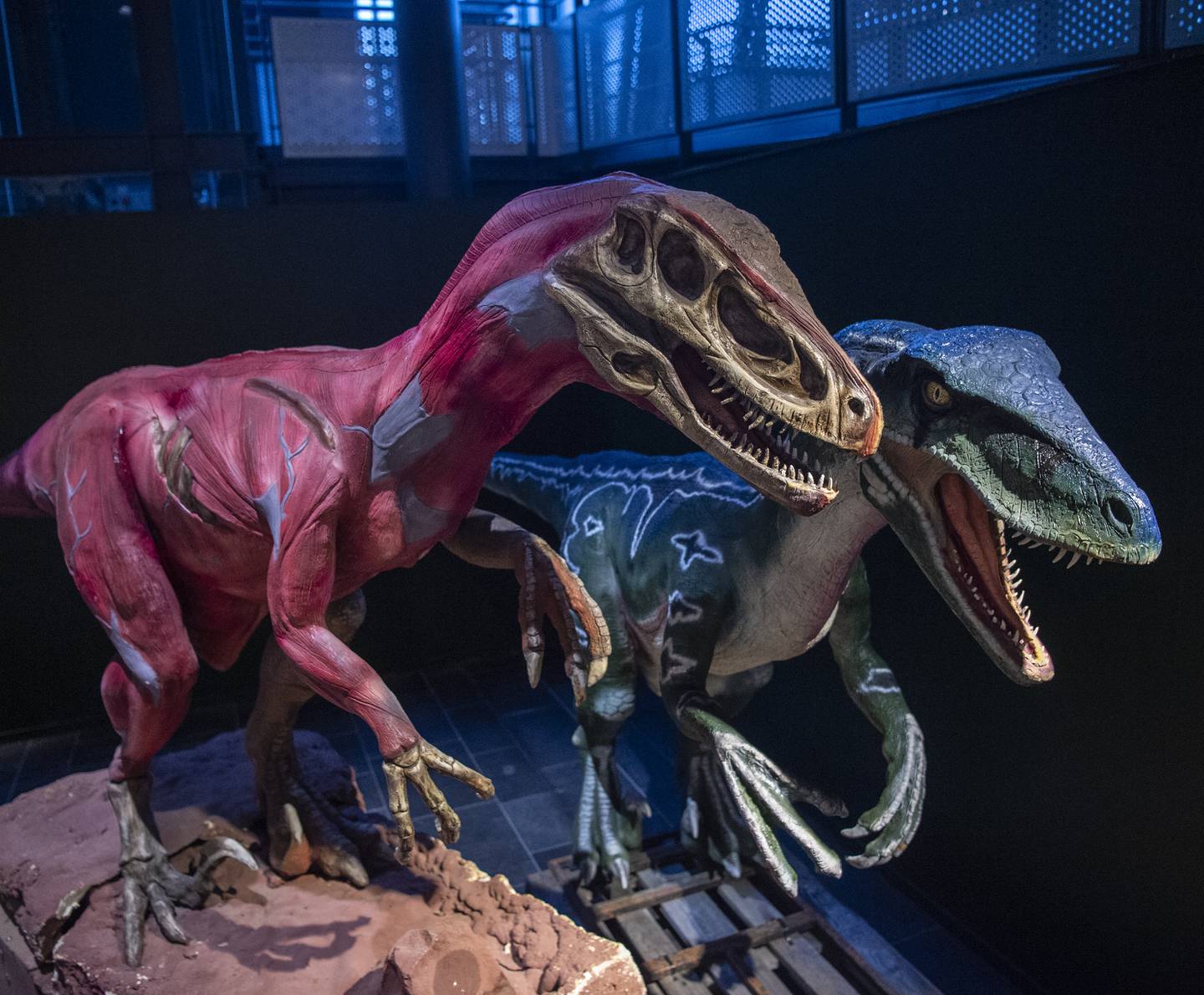 Du finner rundt 15 ulike dinosaurer i full størrelse i utstillingen på oljemuseet.