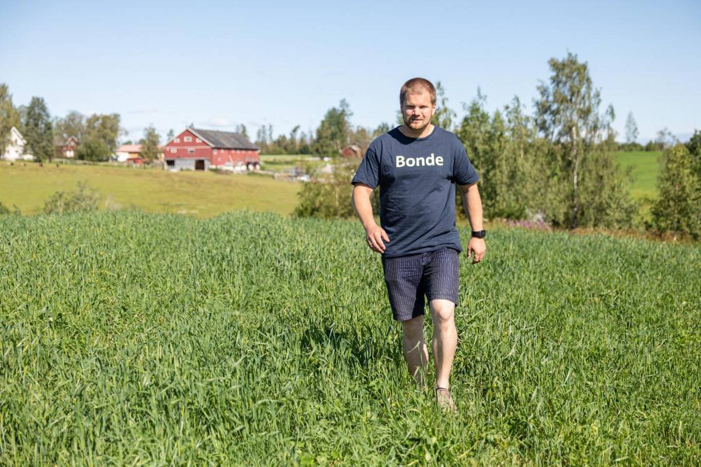 Juli 2019: I år dyrker bonden Lars Halvor Stokstad i Ullensaker i Akershus gress og fôr jordet som er betydelig grønnere enn den uttørkede byggåkeren som lå her i fjor. Om noen uker er det klart for årets andre slått.