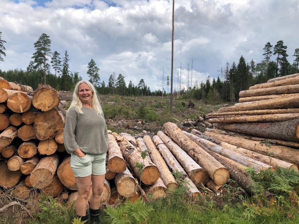 Kommunestyrerepresentant for Miljøpartiet De Grønne, Benedicte Lund, anmoder staten om å iverksette kompensasjonsordninger for å verne skog i Norge.