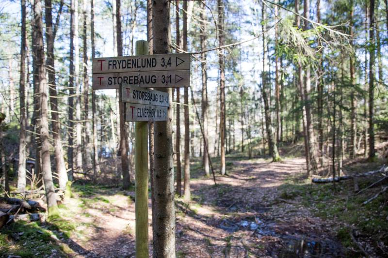Fra Storebaug er det en gåtur på cirka 3,5 kilometer for å komme til Elverhøy.