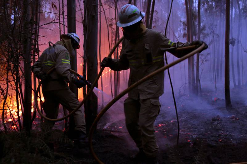 Minst 62 mennesker omkom i en voldsom skogbrann i Portugal i helga, og mandag morgen kjempet 2.000 brannmannskaper mot rundt 140 branner i landet. 