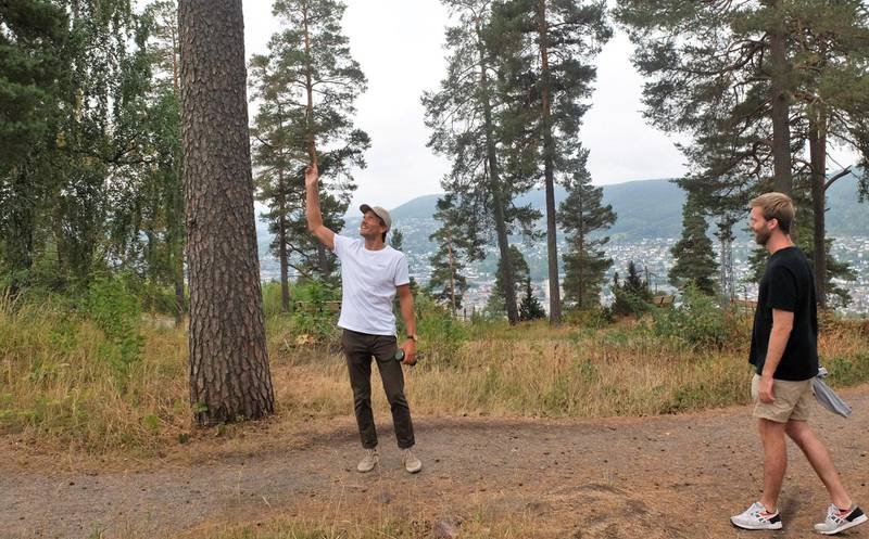 Bruker skogen: Her skal inngangsportalen være, peker Joakim Throndsen. Han og Thomas Waitz Knutsen inviterer til utekino for tredje gang i Drammen. FOTO: SIRI NARVERUD MOEN