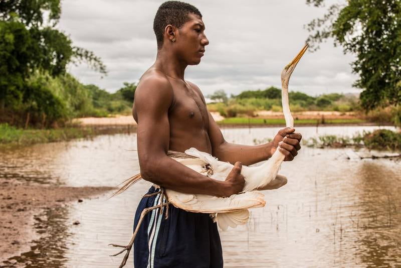 Fiskersønnen Tiago løfter opp en skadet fugl fra elva. Etter at gjørma fra Fundão-dammen fylte opp elva er nesten alt liv blitt ødelagt.