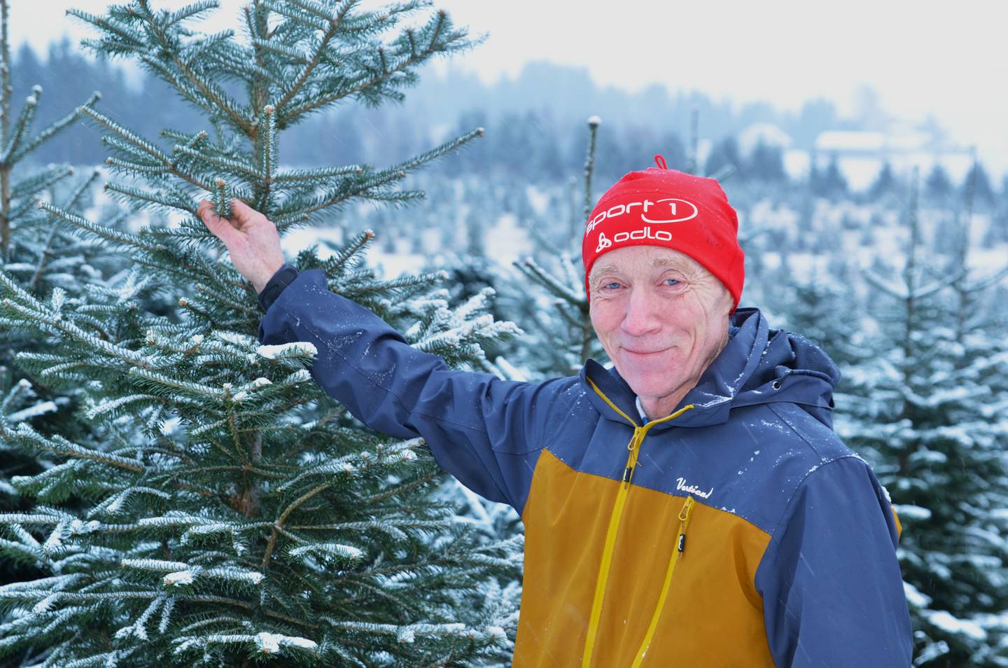 Juletradisjoner, granlukt og stemning står sterkt i befolkningen, mener Atle Røed. – Nei, plasttrærnes inntog tar ikke fra meg nattesøvnen, smiler han.