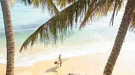 Surfing, sol  og kokosnøtter