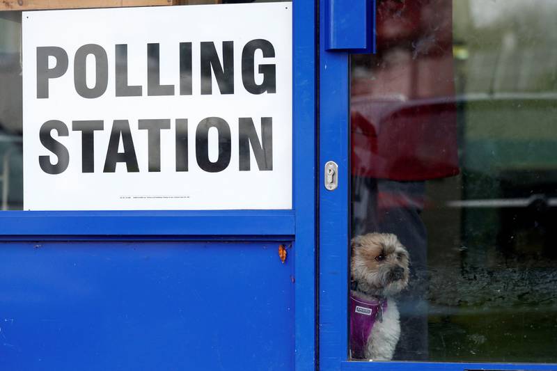 TOPSHOT - A dog looks out of the door of a laundrette, set up as a polling station in Oxford, west of London, as Britain holds a general election on December 12, 2019. (Photo by Adrian DENNIS / AFP)