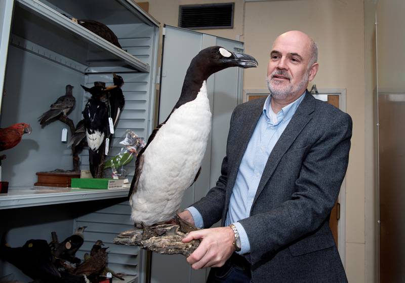 Jan T. Lifjeld er forsker, konservator og ekspert på utdødde fugler. Han synes arbeidet med å gjenskape geirfuglen er spennende, men er usikker på om det vil lykkes. Selv har han vært med på å hente ut DNA fra en tåball hos fuglen han holder i hendene.