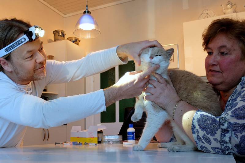 Anne-Lise Slotsgrund følger med mens Baileys får sin årlige helsesjekk og vaksine av dyrlege Espen Slotsvik. FOTO: PERNILLE VESTENGEN