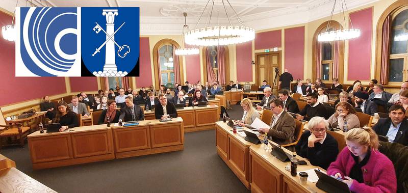Politikerne i kommunestyret har valgt kommunevåpenet til den nye kommunen.