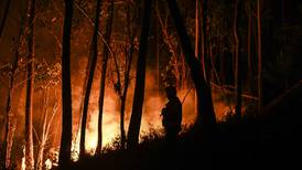 Minst 26 døde etter skogbranner i Algerie