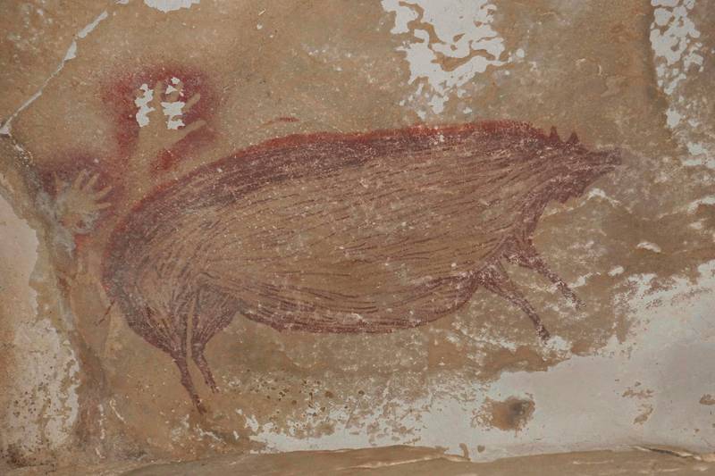 This undated handout photo shows a dated pig painting at Leang Tedongnge in Sulawesi, Indonesia. - Archaeologists have discovered the world's oldest known cave painting: a life-sized picture of a wild pig that was made at least 45,500 years ago in Indonesia. The finding was described in the journal Science Advances on January 13, 2021, and also provides the earliest evidence of human settlement of the region. Co-author Maxime Aubert of Australia's Griffith University told AFP it was found on the island of Sulawesi in 2017 by doctoral student Basran Burhan, as part of surveys the team was carrying out with Indonesian authorities. (Photo by Maxime AUBERT / GRIFFITH UNIVERSITY / AFP) / RESTRICTED TO EDITORIAL USE - MANDATORY CREDIT "AFP PHOTO /MAXIME AUBERT/GRIFFITH UNIVERSITY/HANDOUT" - NO MARKETING - NO ADVERTISING CAMPAIGNS - DISTRIBUTED AS A SERVICE TO CLIENTS / TO GO WITH AFP STORY BY ISSAM AHMED - "Archaeologists find oldest known cave painting in Indonesia"